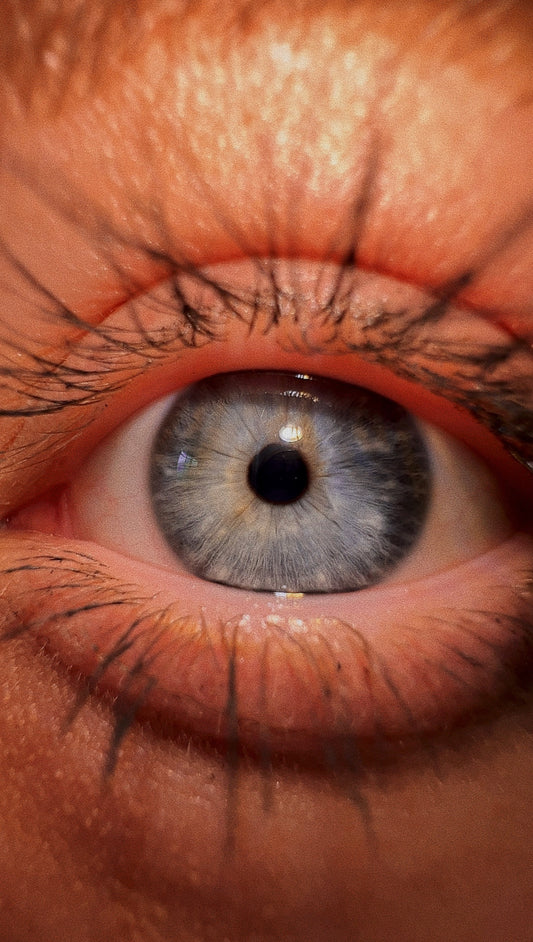 The Art of Color 2.0 – Essential