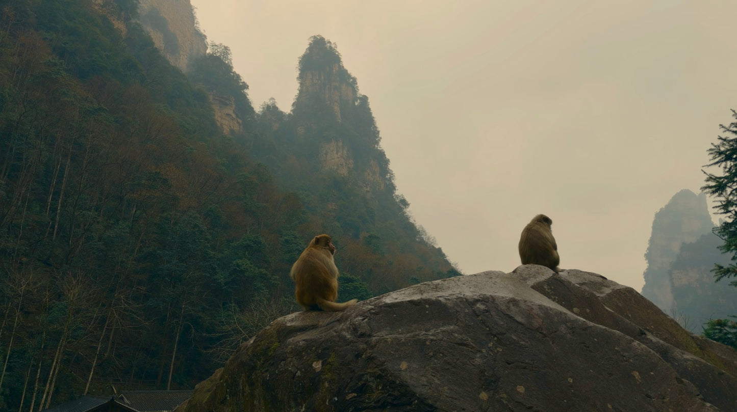 The Art of Color 2.0 – Ultimate Cinematic Pack